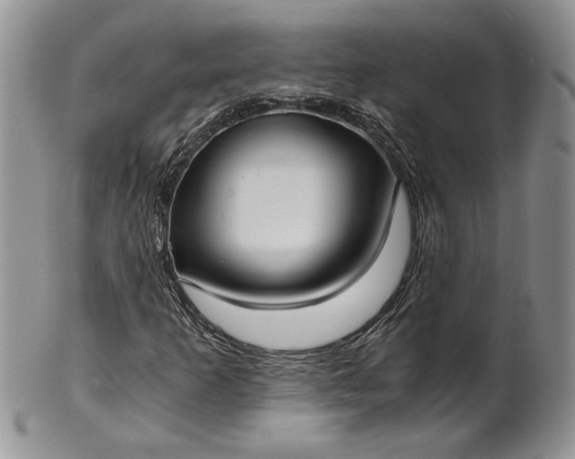 X0000101951253200808011038