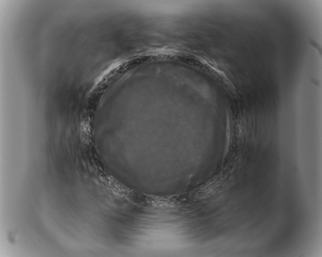 X0000101951254200808011038