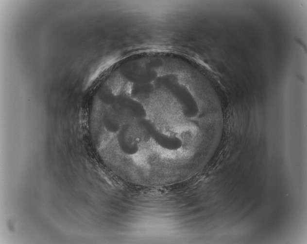 X0000101951255200808011038