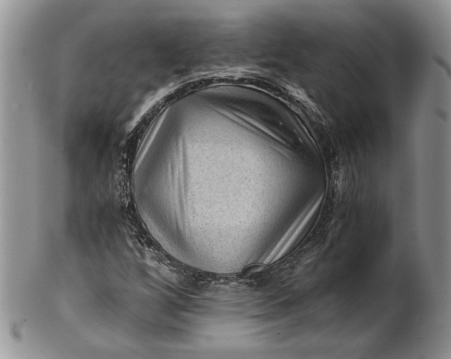 X0000101951256200808011038