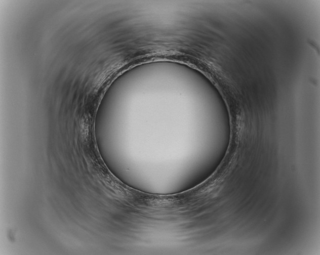 X0000101951257200808011038