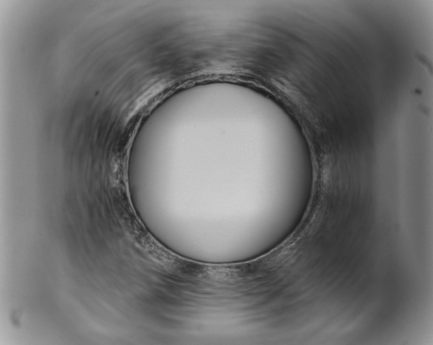 X0000101951258200808011038