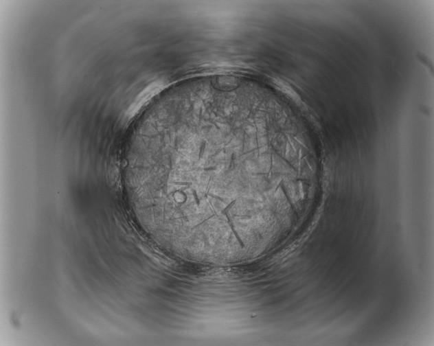 X0000101951259200808011038