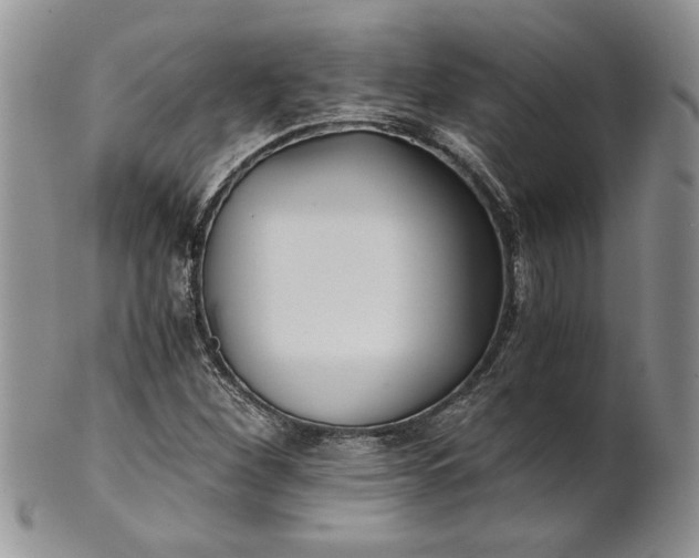 X0000101951260200808011038