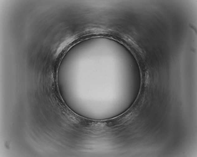 X0000101951261200808011038