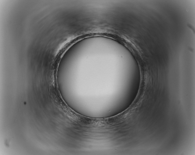 X0000101951262200808011038