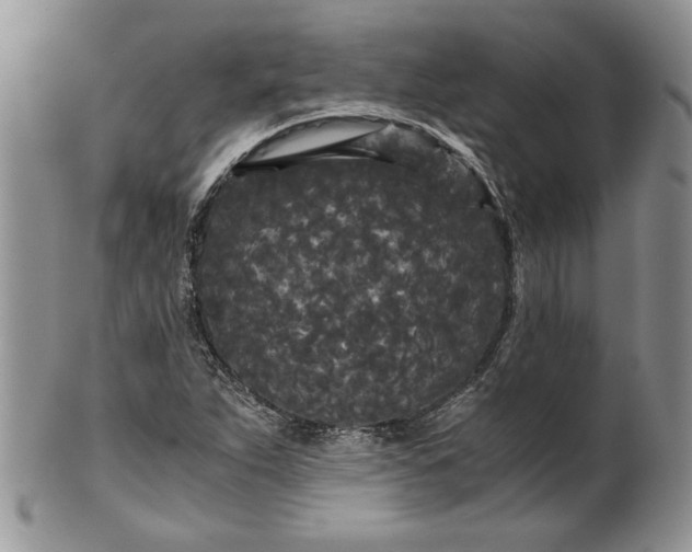 X0000101951263200808011038