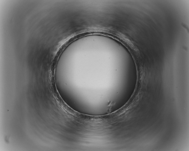 X0000101951264200808011038