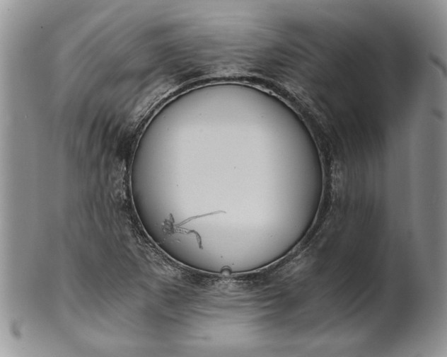 X0000101951265200808011038