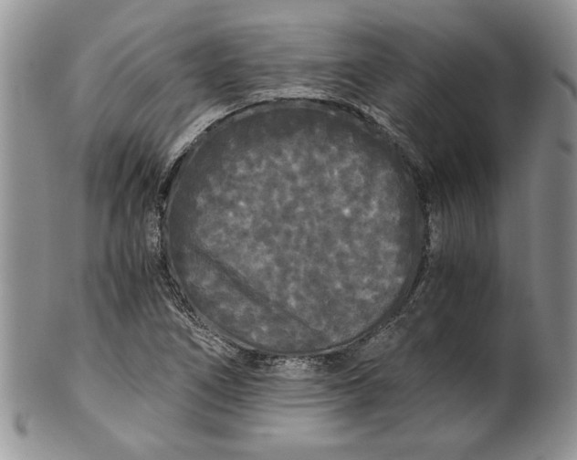 X0000101951266200808011038