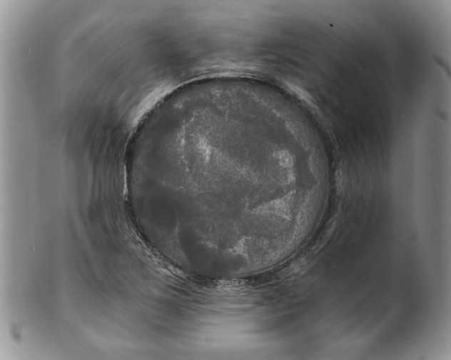 X0000101951267200808011038