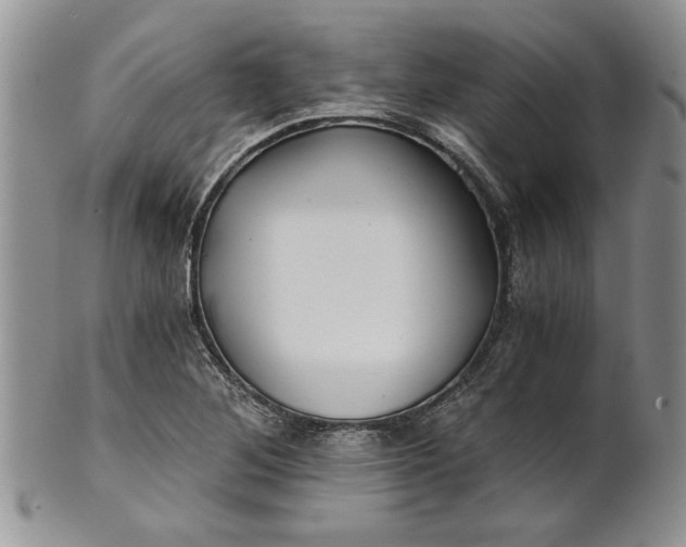 X0000101951268200808011038