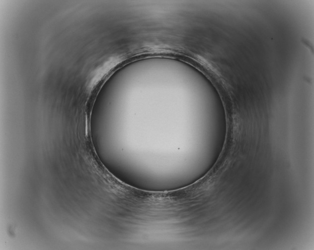 X0000101951269200808011038