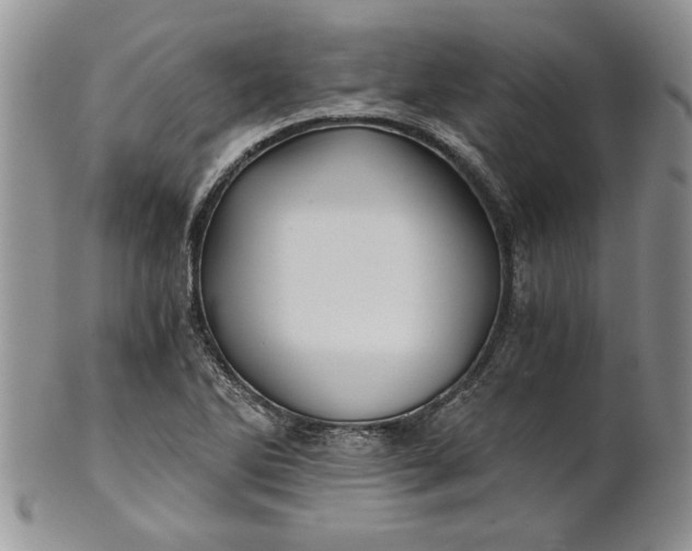 X0000101951270200808011038