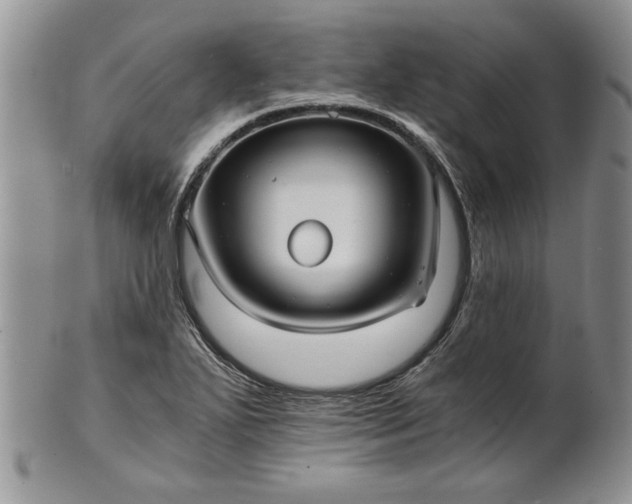 X0000101951271200808011038