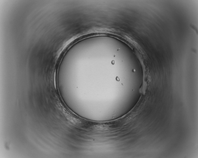 X0000101951272200808011038