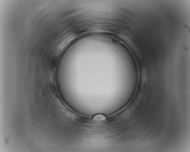 X0000101951273200808011038