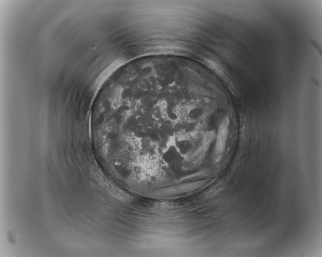 X0000101951275200808011037