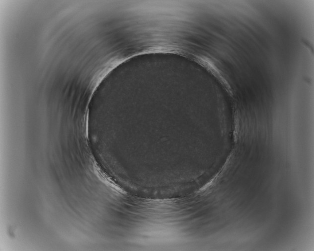 X0000101951276200808011037