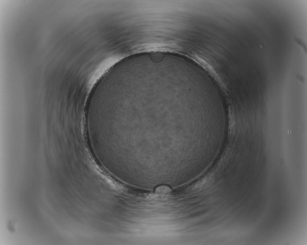 X0000101951277200808011037