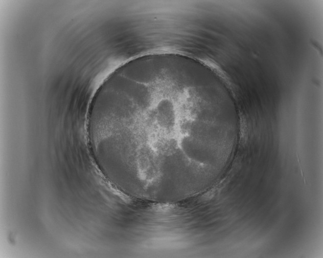 X0000101951278200808011037