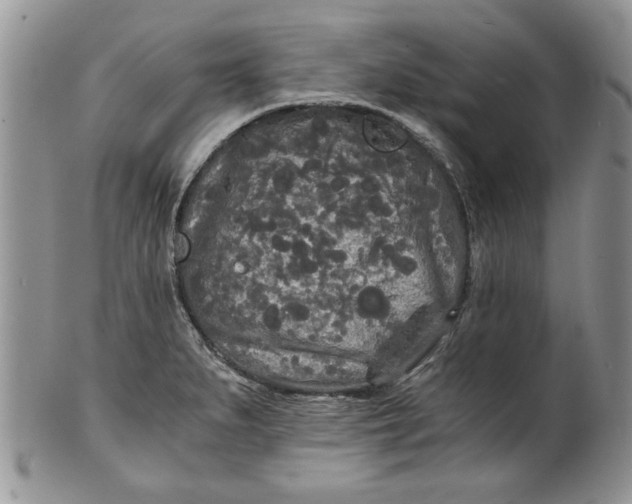 X0000101951279200808011037