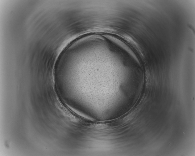 X0000101951280200808011037