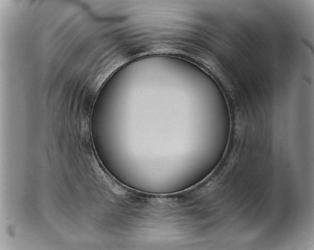 X0000101951281200808011037