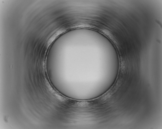 X0000101951282200808011037