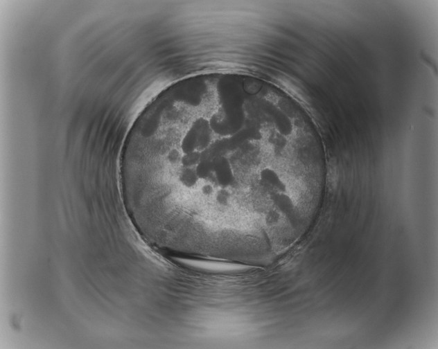 X0000101951283200808011037