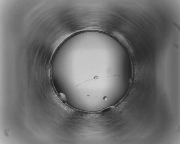 X0000101951284200808011037