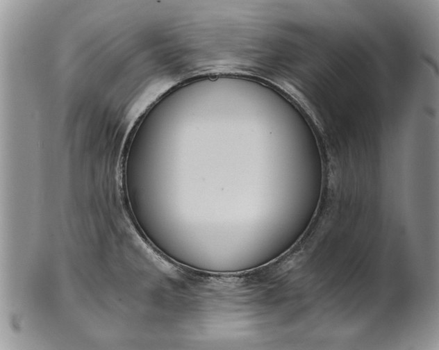 X0000101951285200808011037