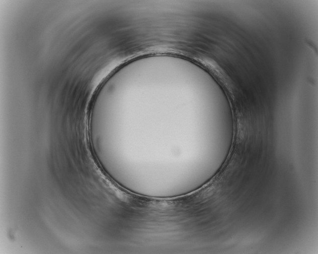 X0000101951286200808011037