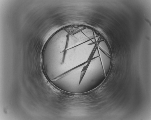 X0000101951287200808011037