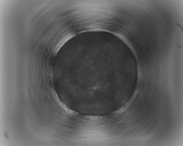 X0000101951289200808011037