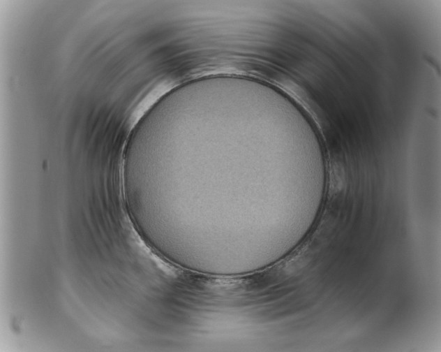 X0000101951290200808011037