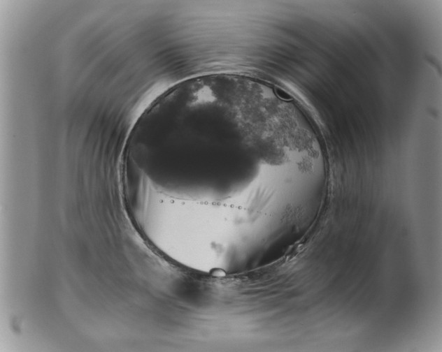 X0000101951291200808011037