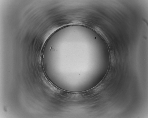 X0000101951292200808011037