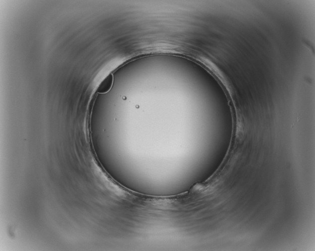 X0000101951293200808011037