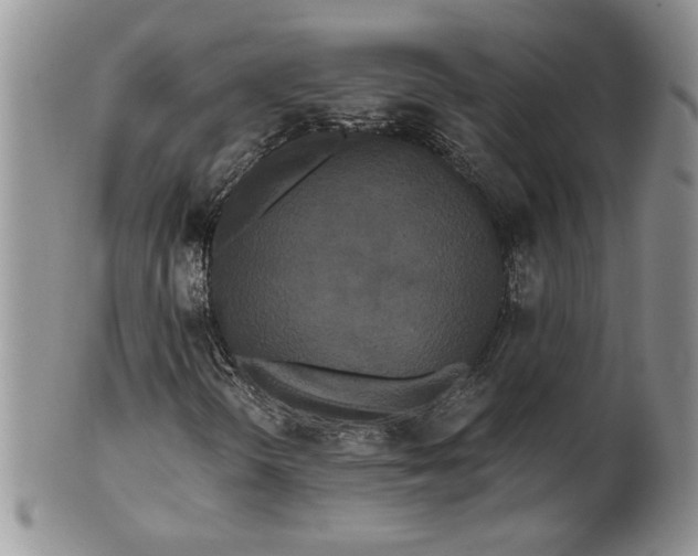 X0000101951298200808011037