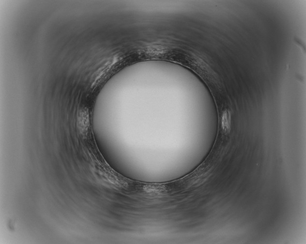 X0000101951299200808011037