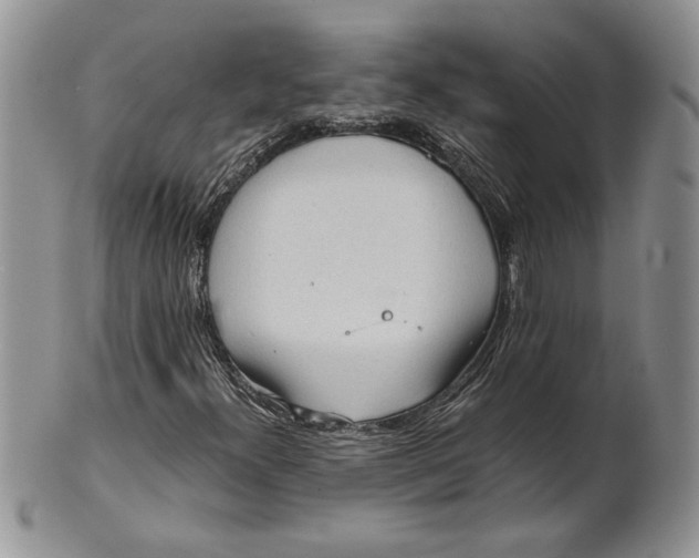 X0000101951300200808011037