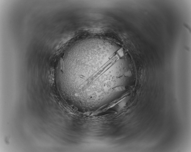 X0000101951301200808011037