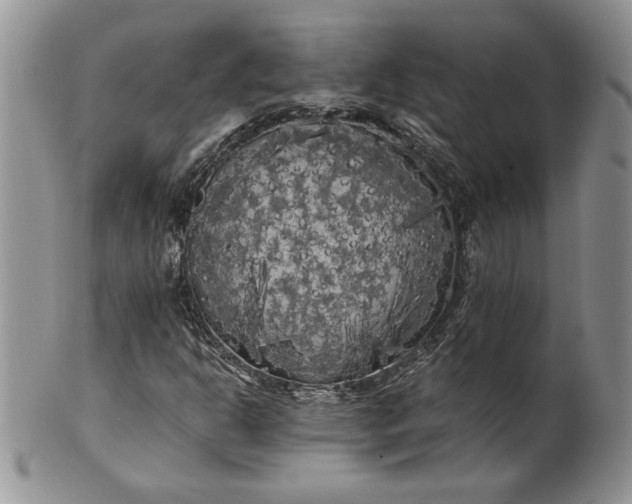 X0000101951302200808011037