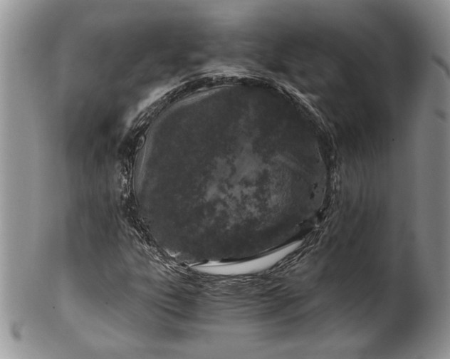 X0000101951303200808011037