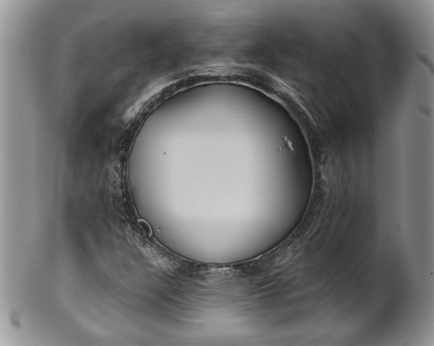 X0000101951304200808011037