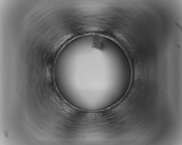 X0000101951305200808011037