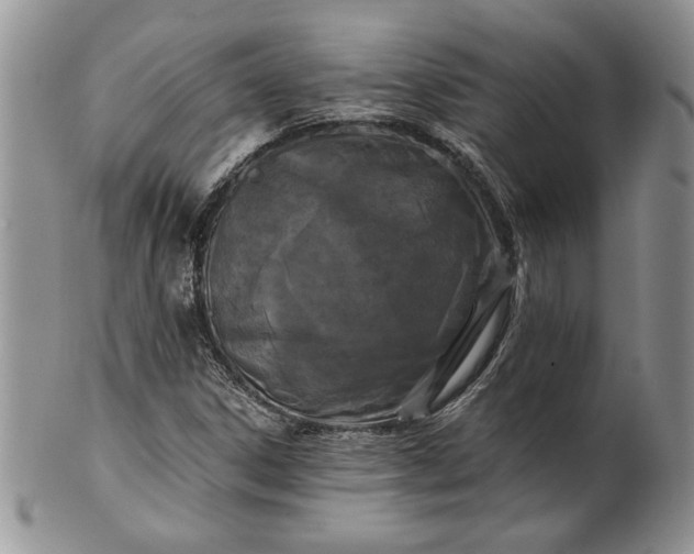 X0000101951306200808011037