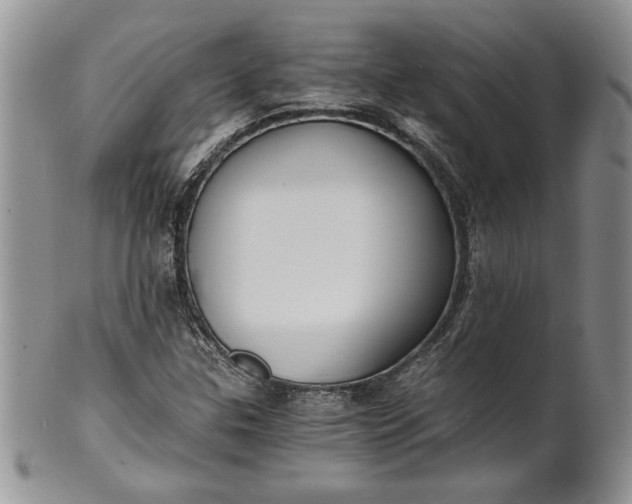 X0000101951307200808011037