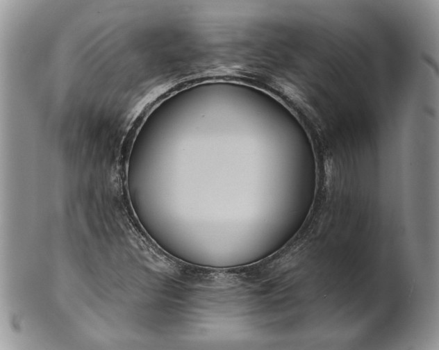 X0000101951308200808011037